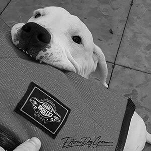 trainingsaccessoires, bijtrollen, solo tugger